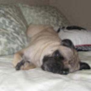 Meet your Posher, Jordan